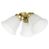 Eglo Waikiki White Ceiling Fan Light Kit 20518411