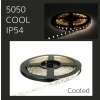 5050 LED Strip Lighting - IP54 Coated - Cool White