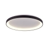 Ailia Imports Etwell Black Oyster Light On