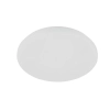 Eglo Lighting Diego Opal Oyster Light 24W