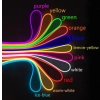 Flexi Neon LED Strip Lighting | All colours