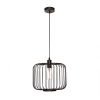 Bonn 1LT Black  Cage Pendant