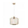 Bonn 1LT Gold  Cage Pendant