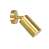 CLA PG1ABR2 - Single adjustable Spotlight- Polished Brass  - 1 x GU10 
