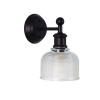 Brighton Black/ Clear Wall Light OL69371CL