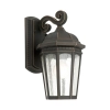 Cougar Lighting Bronze Coach Light