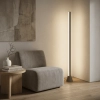 Dalton Floor Lamp Black CCT AF-1244-BLK - lifestyle