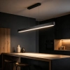 Ailia Imports Dalton Matte Black Pendant- lifestyle