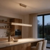 Ailia Imports Dalton Matte Black Pendant