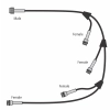 Lumenesk EC3-LOOM 3 Tail Wiring Loom