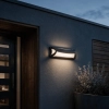 EGO-EYE BLACK Poly Carb Top Eyelid Wall Light LB22322. - lifestyle