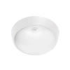 Mercator Lighting Fletcher CCT Exterior Bunker Light