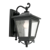 Nottingham Black Coach Light - Cougar