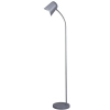 Pastel Floor Lamp Matt Grey