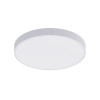 Quest Oyster Light - 3 Sizes  - single