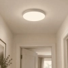 Quest Oyster Light - 3 Sizes  - lifestyle