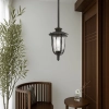 Ramiro 25 Black Pendant Light Large - lifestyle 1 