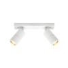 Cougar Lighting Stockholm 2LT Rail White