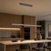 Morne 1800mm Pendant - black lifestyle