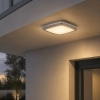 Seville Bunker/ Ceiling Light - 2 Colours   - silver