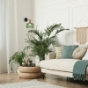 Vinta Wall Light - 3 Colours - green lifestyle