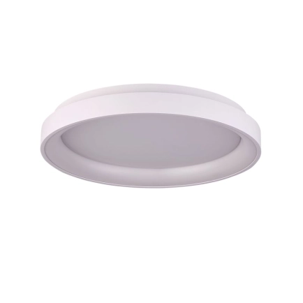 Ailia Imports Etwell Ceiling Light White Light Off