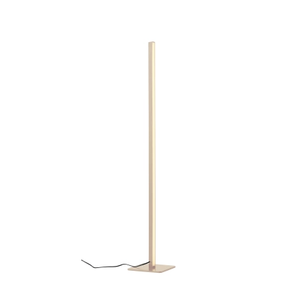 Morne Floor Lamp Champagne CCT AF-1277-CHAMP