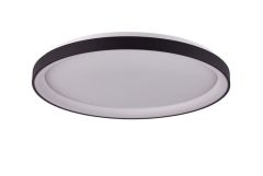 Ailia Imports Etwell Black Oyster Light Off