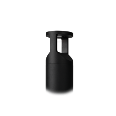 Unios Lighting Evio 600mm Black 2 Way Bollard Light