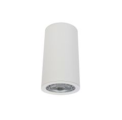 **Barden 1LT White Surface Mount AS-208-WHT