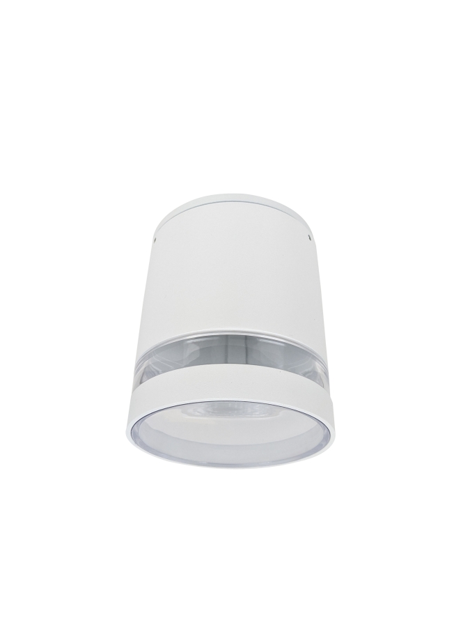 Bardo GU10 Surface Downlight - White Main