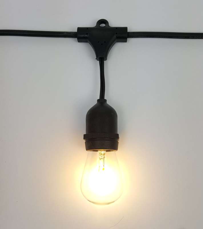 Festoon globe - 12VDc close up Lit