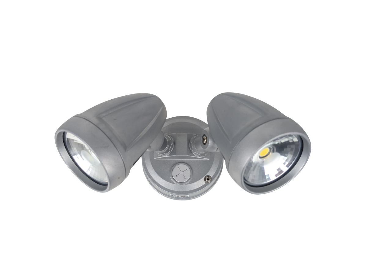 PHL4205 Double 30w LED Floodlights -silver