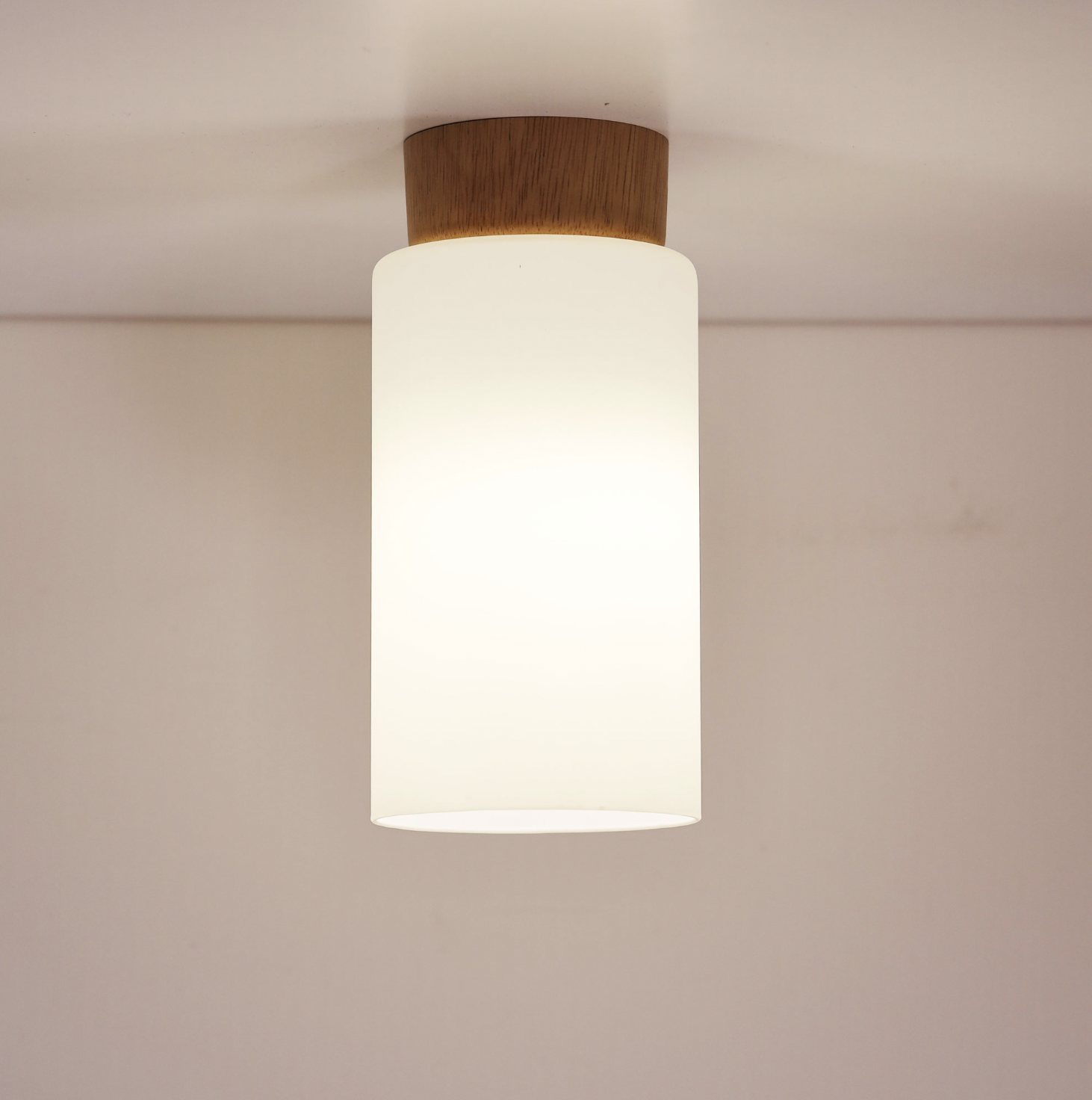 Nina DIY White / Timber OL2420 p ceiling